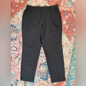 EDDIE BAUER Traveler Ankle Pants Sz L